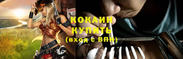 сатива Липки