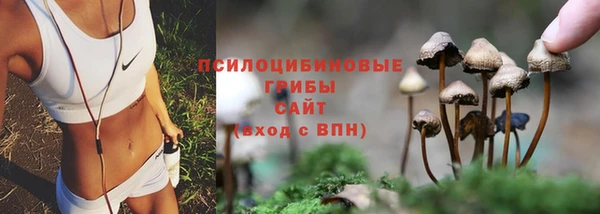 скорость Абаза