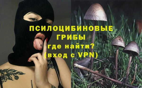 сатива Липки