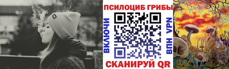 Галлюциногенные грибы MAGIC MUSHROOMS Пудож