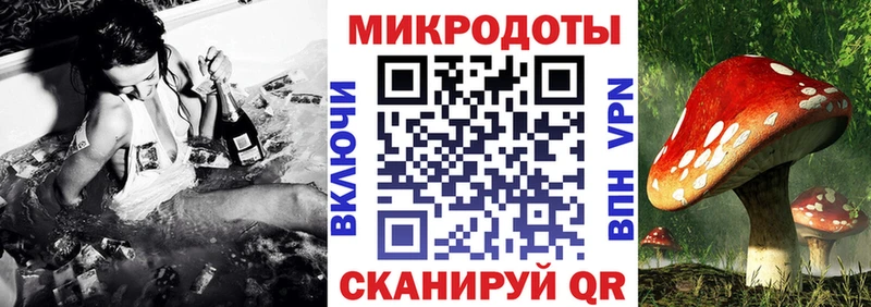 даркнет сайт  Пудож  Псилоцибиновые грибы ЛСД 